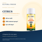 Citrus Air Freshener